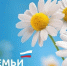 Уважаемые жители Калужской области! - Администрация города