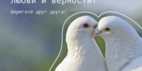 Улыбнитесь, обнимите друг друга покрепче и помните: семья — это самое ценное, что может быть на земле! - Гостехнадзор Вологодской области