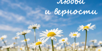 День семьи, любви и верности - Министерство по организации деятельности мировых судей
