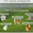 ​Как распознать сезонную аллергию? // КАРТОЧКИ - ИА СИА-Пресс
