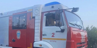 В Белгороде на бульваре Первого Салюта потушили загоревшееся дерево - Сетевое издание Победа 31