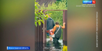 В Ломоносовском районе затопило несколько садоводств - ГТРК Санкт-Петербург
