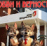 С Днем семьи, любви и верности! - МФЦ