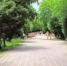 Фото сайта правительства КБР - НИА-Кавказ - КБР
