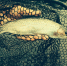 Фото: pixabay.com - KaliningradNews.Ru
