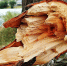 Фото: pixabay.com - Kgzt.Ru
