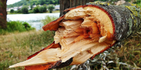 Фото: pixabay.com - Kgzt.Ru