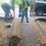 О работах по уборке города. - Городской округ Иваново