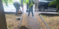 О работах по уборке города. - Городской округ Иваново