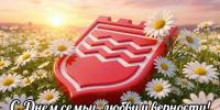 Ильяс Мазитов: С Днем семьи, любви и верности, дорогие александровцы! - ЗАТО Александровск