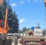 К 23 августа в Курске планируют открыть главную аллею мемориала - РИА Курск