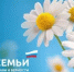 С Днем семьи, любви и верности! - Веселовский район