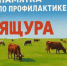 Памятка населению по ящуру - Веселовский район