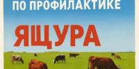 Памятка населению по ящуру - Веселовский район