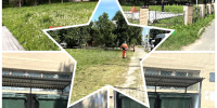 Активно работаем с обращениями граждан. - Тотемский муниципальный округ