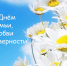 День семьи любви и верности - ГБУЗ ТОДКБ