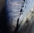 МЧС (1) - OrelTimes.Ru