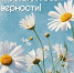 Семья – главный в жизни маршрут! - Министерство инфраструктуры и транспорта ЛНР