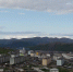 Медведь у ворот Депутатского - Yakutia-Daily.Ru