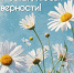 Дорогие друзья! От всей души поздравляю вас с Днём семьи, любви и верности! - Избирательная комиссия