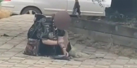 Полиция Краснодара проверяет видео с девочкой разделывающей голубя канал MAX &quotКубань Новости&quot - KrasnodarMedia