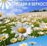 <br /><a class="sigProDownloadLink" href="/plugins/content/jw_sigpro/jw_sigpro/includes/download.php?file=images/gallery/999/001.jpg" download>Скачать фото</a> - Отдел образования