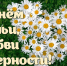 С Днем семьи, любви и верности поздравили участники Союза православных женщин Алтайского края - Алтайская митрополия