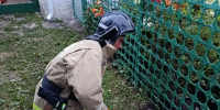 Ливенские спасатели помогли собаке выбраться из забора - Уездный город