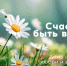 Духовные песнопения и семейные традиции: в «Успенском» подготовили праздничную программу в честь Дня любви, семьи и верности - Министерство культуры