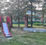 img - ЛДПР