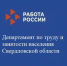 Об организации наставничества в сфере труда для инвалидов из числа участников специальной военной операции - Тавдинский городской округ