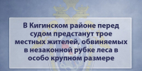 В Кигинском районе перед судом предстанут трое местных жителей, обвиняемых в незаконной рубке леса в особо крупном размере - Следственный комитет