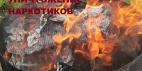 УНИЧТОЖЕНИЕ НАРКОТИКОВ - июль 2026 - ГУ МВД Свердловской области