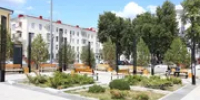 Стало известно, на каких улицах Уфы появились новые липы и клёны - Башинформ