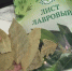 Лавровый лист засыпаю солью — все лето радуюсь своей смекалке: рабочий лайфхак для всех ленивых домохозяек - Prochepetsk.ru