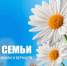 С Днём семьи, любви и верности - Историко-краеведческий музей