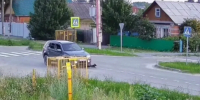 Под Тюменью водитель переехал собаку и даже не остановился, чтобы помочь - MegaTyumen.Ru