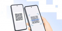 На Госуслугах появилось новое приложение «Госкан» для проверки данных по QR-коду - Волжская новь