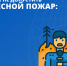 Как не допустить лесной пожар. - Подгоренский район