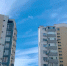 Скидки до 40% и бензин по 300 рублей: кто проиграет на вторичке Севастополя — разбор по районам - RuInformer.Com
