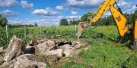 В Боровском и Хвастовичском районах закрыли два скотомогильника - Комсомольская Правда