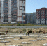 В Новосибирском районе стартовало строительство школы с высокотехнологичной образовательной средой - Министерство строительства