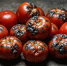 Как не дать фитофторе погубить томаты и картофель: простая обработка - Газета Тетюшские зори