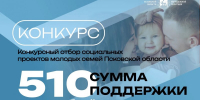 В Псковской области стартовал конкурсный отбор социальных проектов молодых семей - Губернатор Псковской области