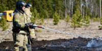 С начала сезона в Челябинской области произошло 80 природных пожаров - Вечерний Челябинск