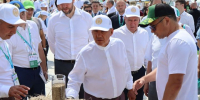 В Лаишевском районе открылась международная выставка «Агроволга-2026» - Камская новь