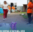 Передали корма и ветошь для животных приюта «Надежда» в Бердске - Администрация г. Бердск