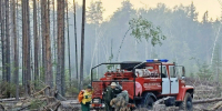 В Кировской области загорелся лес - Newsler.Ru