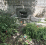 Полицейские опровергли изъятие детей из семьи после гибели 2-летнего мальчика в Семилуках - ГТРК Воронеж