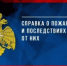 С начала года в Псковской области произошло более 2,6 тысячи пожаров, погибли 44 человека - Luki.Ru